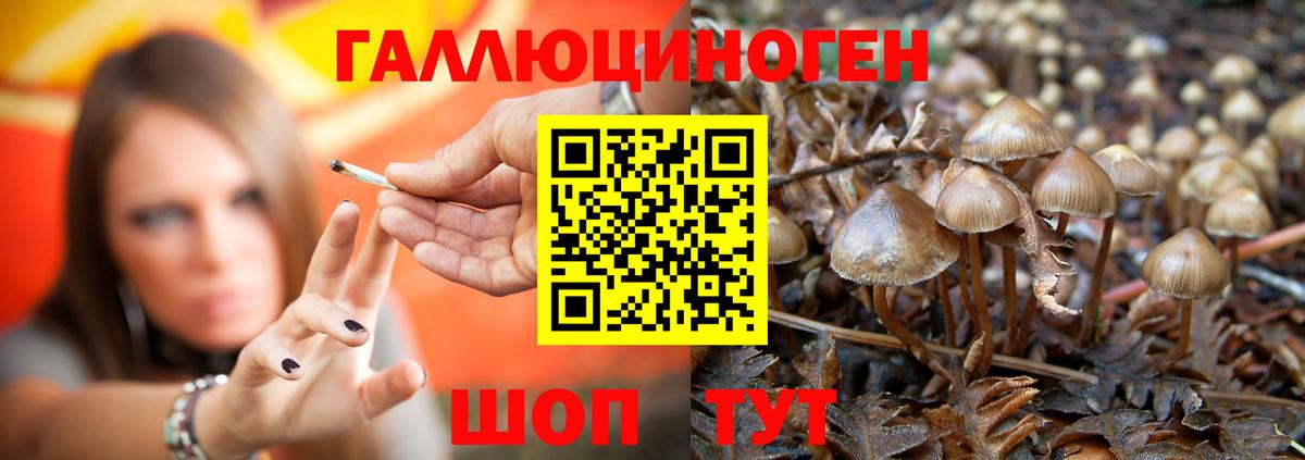 Псилоцибиновые грибы Magic Shrooms  Вход с VPN  Ростов-на-Дону 